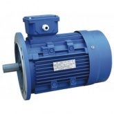Электродвигатель АИР 112 МВ8 3 кВт*750 об/мин. (3081)